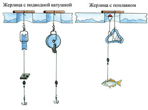 Как охотиться на щуку