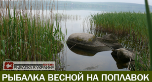 Как выбрать место для рыбалки